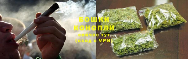 PSILOCYBIN Беломорск