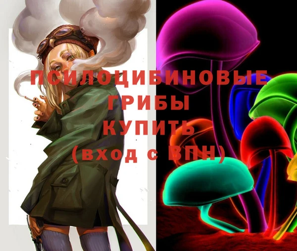 PSILOCYBIN Беломорск