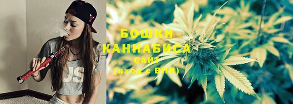 PSILOCYBIN Беломорск
