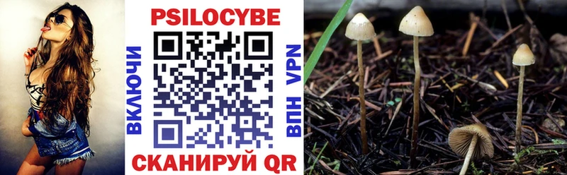 как найти закладки  Еманжелинск  Псилоцибиновые грибы MAGIC MUSHROOMS 
